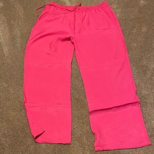 Zara Vibrant Pink Lounge and Dressy Pants